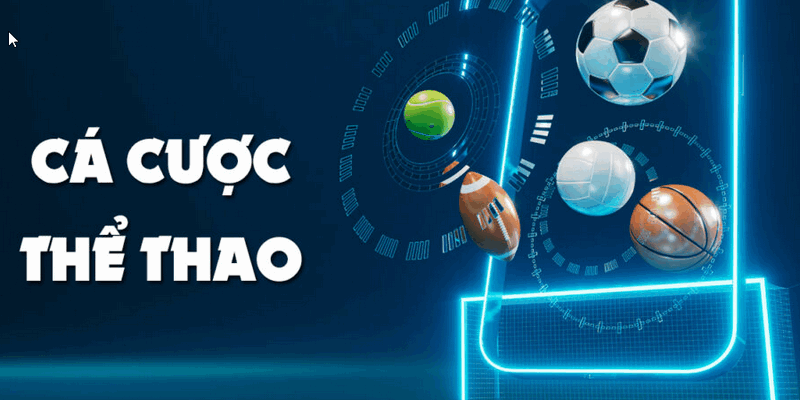 Sai lầm đầu tiên là luôn đặt cược vào đội mà mình yêu thích
